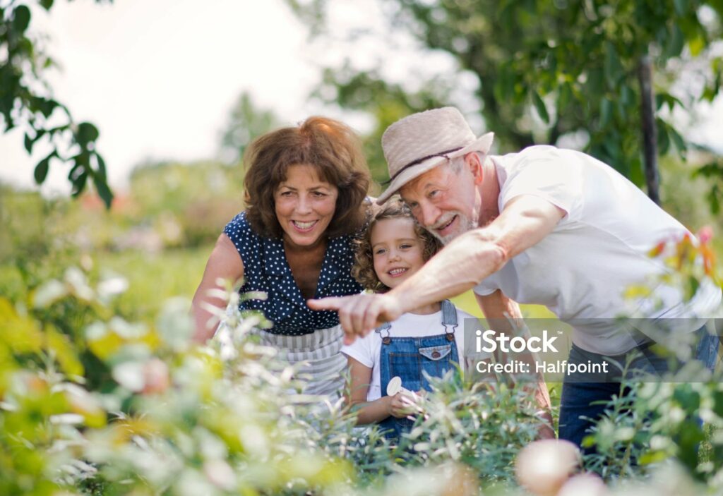Großeltern mit einem Kindergartenkind in der Mitte stehen in einem Garten vor blühenden Sträuchern. Sie alle drei lachen und der Großvater zeigt auf die Pflanzen.